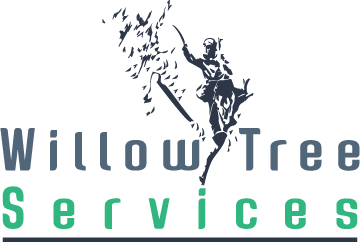 Willow tree services
